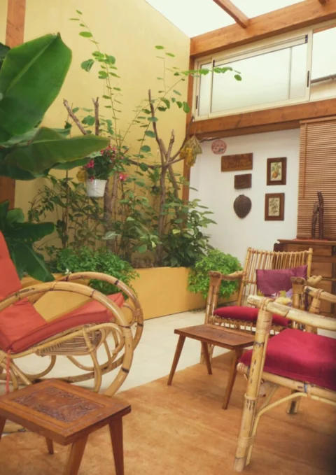 Jardin d’hiver d’un hôtel particulier à Aix-en-Provence
