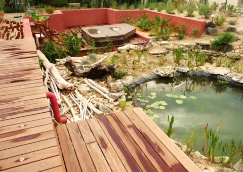 Transformation d’un bassin de rétention en jardin aquatique à Villeneuve-lès-Avignon